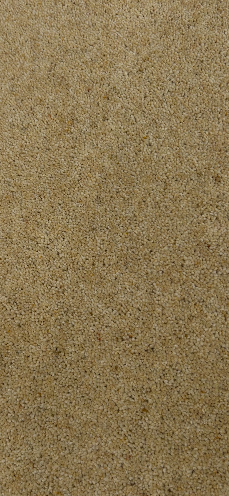 >ADAM WYRE FOREST HONEYSUCKLE   *****SOLD*****